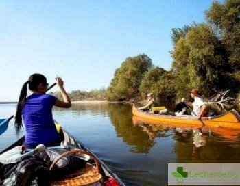 Отдих сред природата - опасни животни