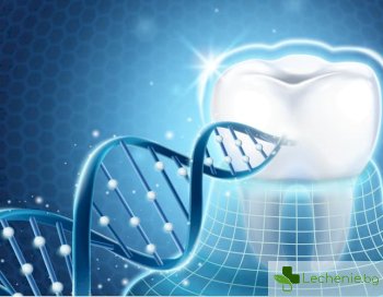 Лекуват зъбите по напълно нов начин - въздействат на ниво гени