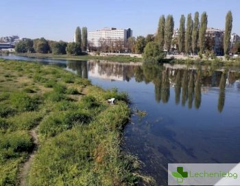 Здравният министър на проверка за отровените крави с вода от канал до р. Марица