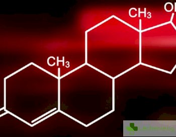 Каква е връзката между тестостерона и либидото
