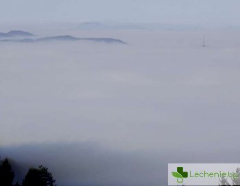 Мръсният въздух вреден за психиката - води до депресии и самоубийства