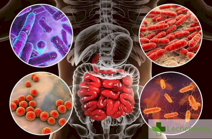 Новооткрити бактерии повишават риска от рак на дебелото черво
