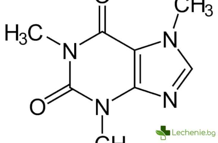 Как кофеинът влияе на тялото и мозъка?
