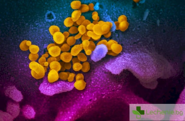 10 са новите болни от COVID-19 само за ден, предлагат да се въвеждат най-строгите мерки
