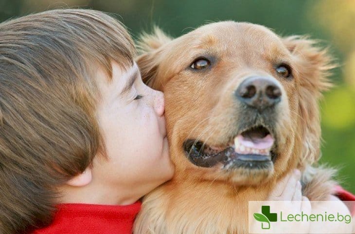 С какви заболявания можем да се заразим от домашните любимци