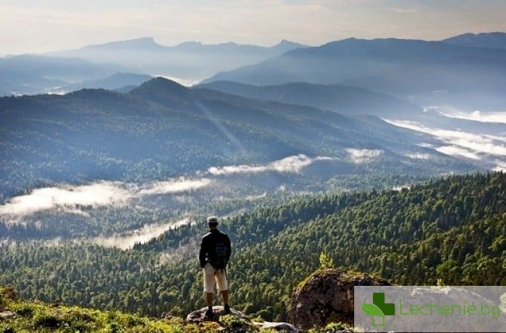 Топ 3 препятствия по пътя към целта, които мозъкът сам си измисля