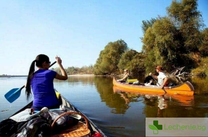 Отдих сред природата - опасни животни