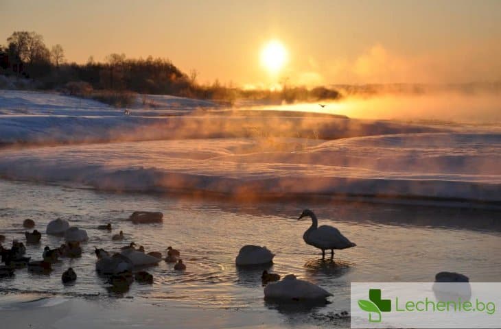 Кратка разходка може да замени напълно нуждата от кафе за ободряване