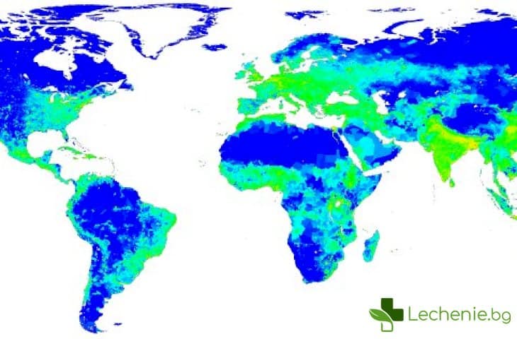 Над 95% от световното население има поне един здравословен проблем