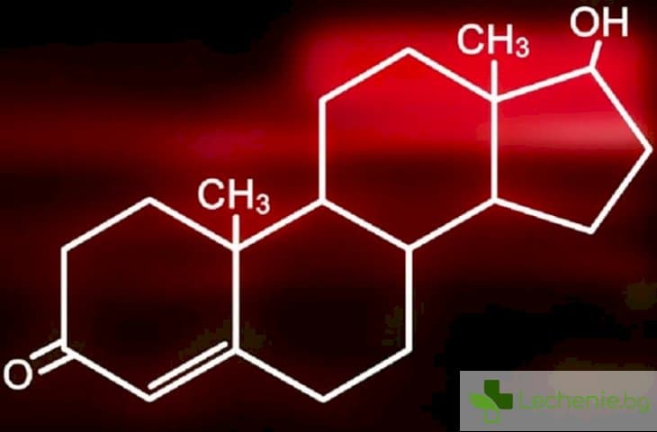 Каква е връзката между тестостерона и либидото