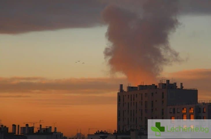 Заради мръсния въздух в градовете се извършват повече престъпления